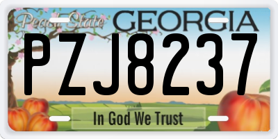 GA license plate PZJ8237