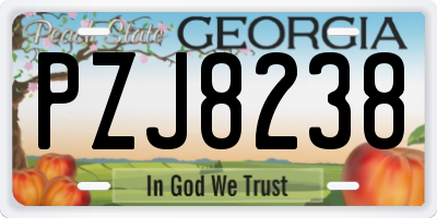 GA license plate PZJ8238