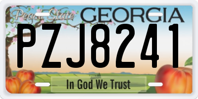 GA license plate PZJ8241