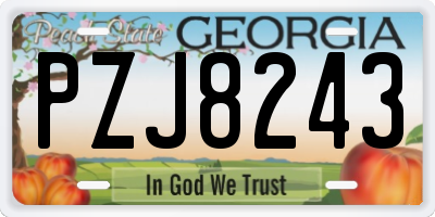 GA license plate PZJ8243