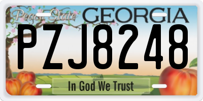 GA license plate PZJ8248