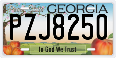 GA license plate PZJ8250