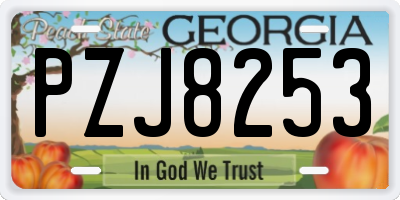 GA license plate PZJ8253