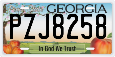 GA license plate PZJ8258