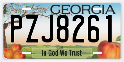 GA license plate PZJ8261