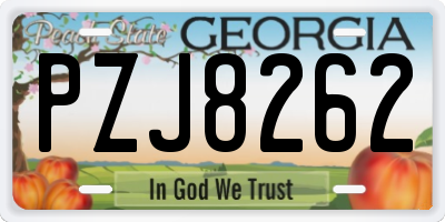 GA license plate PZJ8262