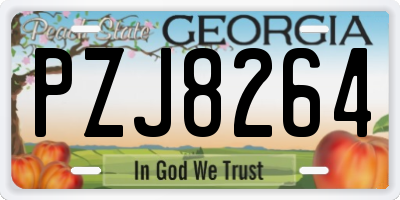 GA license plate PZJ8264
