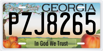 GA license plate PZJ8265
