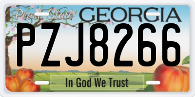 GA license plate PZJ8266