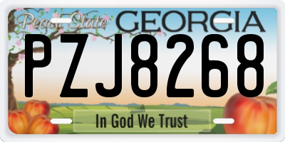 GA license plate PZJ8268