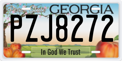 GA license plate PZJ8272