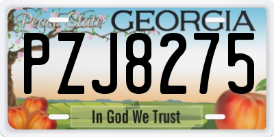 GA license plate PZJ8275