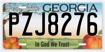 GA license plate PZJ8276