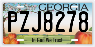GA license plate PZJ8278