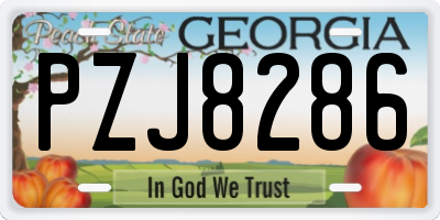 GA license plate PZJ8286