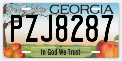 GA license plate PZJ8287