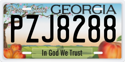 GA license plate PZJ8288