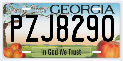 GA license plate PZJ8290