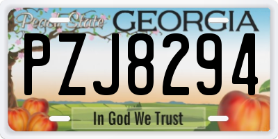 GA license plate PZJ8294