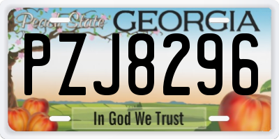 GA license plate PZJ8296