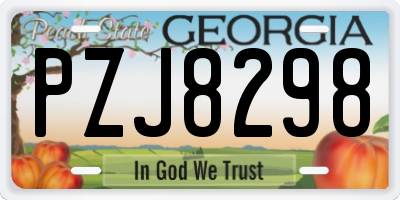 GA license plate PZJ8298