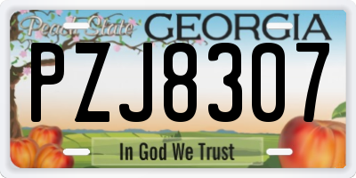 GA license plate PZJ8307
