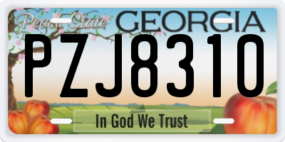GA license plate PZJ8310