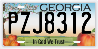 GA license plate PZJ8312