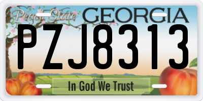 GA license plate PZJ8313