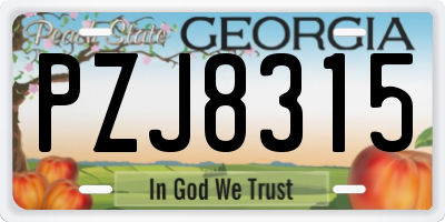 GA license plate PZJ8315