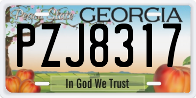 GA license plate PZJ8317
