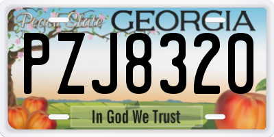GA license plate PZJ8320