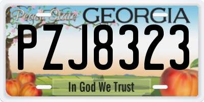 GA license plate PZJ8323