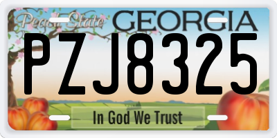 GA license plate PZJ8325