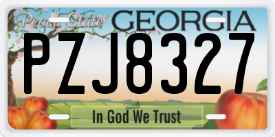 GA license plate PZJ8327