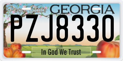GA license plate PZJ8330
