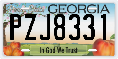 GA license plate PZJ8331