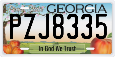 GA license plate PZJ8335