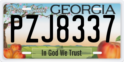GA license plate PZJ8337