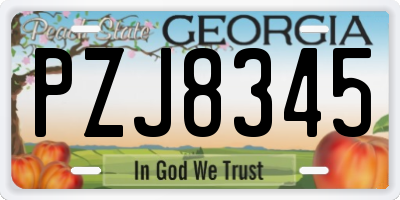 GA license plate PZJ8345