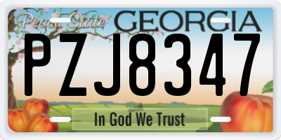 GA license plate PZJ8347