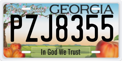 GA license plate PZJ8355