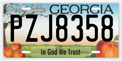GA license plate PZJ8358