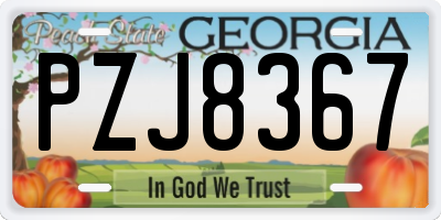 GA license plate PZJ8367