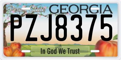 GA license plate PZJ8375