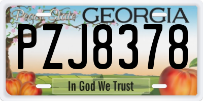 GA license plate PZJ8378