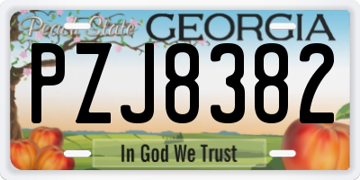 GA license plate PZJ8382