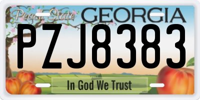 GA license plate PZJ8383