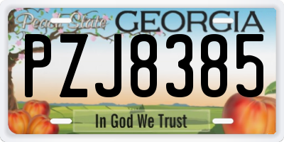GA license plate PZJ8385