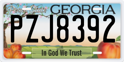 GA license plate PZJ8392